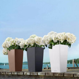 41Cm Tall Planter, Slate Grey Plastic Lechuza Cubico Color Indoor And Outdoor Self-Watering Planter With Drain Plug H41 L22 W22 Cm - thumbnail 9