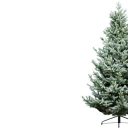 Christmas Tree World The 6Ft/180Cm Frosted Ultra Mountain Pine - thumbnail 4