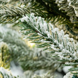 Christmas Tree World The 6Ft/180Cm Frosted Ultra Mountain Pine - thumbnail 7
