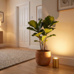 Happy Homewares Small And Contemporary Brushed Gold Led Table/floor Lamp Uplighter - thumbnail 6