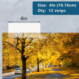 "Lineco Archival Artwork Mounting Strips Clear 3.17 Cm X 10.16 Cm (1.25"" X 4"") Pack Of 12" - thumbnail 3