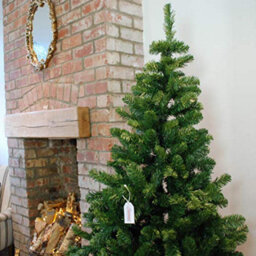 6Ft (180Cm) Samuel Alexander Luxury Green Christmas Tree 525 Tips 115Cm Wide - thumbnail 8