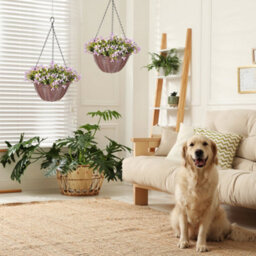 Wyld Haus Fito Set Of 2 Purple Artificial Hanging Flower Baskets, 35Cm Stainless Metal - thumbnail 6