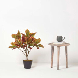Homescapes Artificial Red Handcrafted 'rushfoil' Croton Plant With Pot, 65 Cm - thumbnail 6