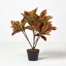 Homescapes Artificial Red Handcrafted 'rushfoil' Croton Plant With Pot, 65 Cm - thumbnail 5