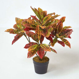 Homescapes Artificial Red Handcrafted 'rushfoil' Croton Plant With Pot, 65 Cm