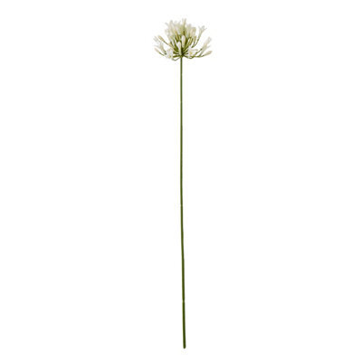 Wyld Haus Set Of 3 Cream Agapanthus Artificial Flower Sprays - image 1
