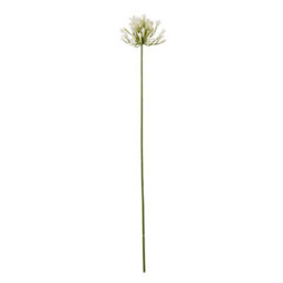 Wyld Haus Set Of 3 Cream Agapanthus Artificial Flower Sprays - thumbnail 1
