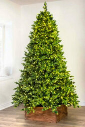 Christmas Tree World The 8Ft/240Cm Ultra-Lit Montagna Fir Tree With Micro Led Lights - thumbnail 1