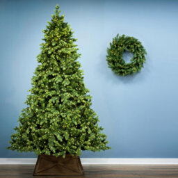 Christmas Tree World The 8Ft/240Cm Ultra-Lit Montagna Fir Tree With Micro Led Lights - thumbnail 2
