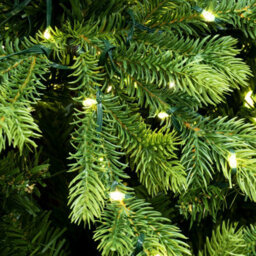 Christmas Tree World The 8Ft/240Cm Ultra-Lit Montagna Fir Tree With Micro Led Lights - thumbnail 5