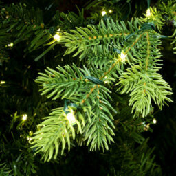 Christmas Tree World The 8Ft/240Cm Ultra-Lit Montagna Fir Tree With Micro Led Lights - thumbnail 4