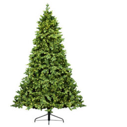 Christmas Tree World The 8Ft/240Cm Ultra-Lit Montagna Fir Tree With Micro Led Lights - thumbnail 9