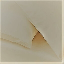 Just So Home Superking Pillowcases 48Cm X 90Cm Cream