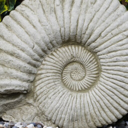 Burgess Ammonite Fossil Large Stone Statue Outdoor Garden Ornament Decoration British Made Sculpture - thumbnail 2