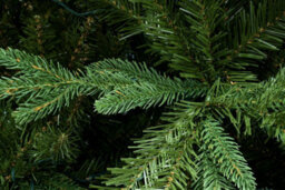 Christmas Tree World The 7Ft Woodland Pine Tree With Hinged Branches - thumbnail 5