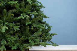Christmas Tree World The 7Ft Woodland Pine Tree With Hinged Branches - thumbnail 4