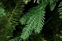 Christmas Tree World The 7Ft Woodland Pine Tree With Hinged Branches - thumbnail 6