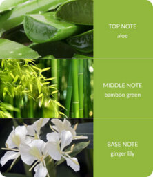 Heart and Home Bamboo & Ginger Lily Small Soy Candle  - 20 Hours Burn - Crackling Wick - thumbnail 4