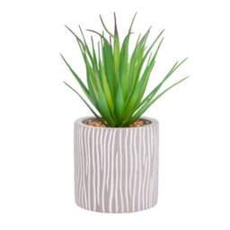 Candlelight Green 17.5Cm Succulent Artificial Plant In Grey Ceramic Pot - thumbnail 1