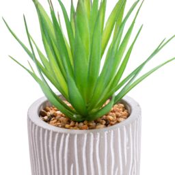 Candlelight Green 17.5Cm Succulent Artificial Plant In Grey Ceramic Pot - thumbnail 2