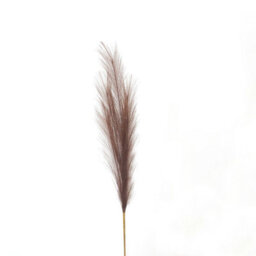 Hill Interiors Uk Homeliving Taupe Faux Pampas Grass Stem