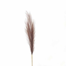 Hill Interiors Uk Homeliving Taupe Faux Pampas Grass Stem - thumbnail 2