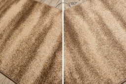 RugsX Runner Karmel Sahara, Desert, Sand Nut 80Cm  80X150 Cm - thumbnail 3
