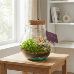Venus Flytrap Terrarium With Rechargeable Led Light - 20Cm - thumbnail 4