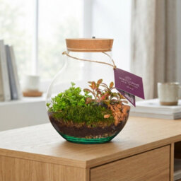 Venus Flytrap Terrarium With Rechargeable Led Light - 20Cm - thumbnail 2