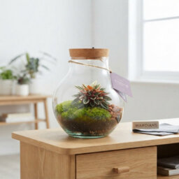 Venus Flytrap Terrarium With Rechargeable Led Light - 20Cm - thumbnail 3