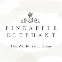 Pineapple Elephant Suri Geo 46X54 Inch Lined Eyelet Curtains Two Panels Natural - thumbnail 5