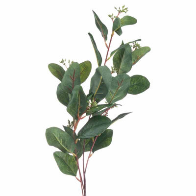 Summer                  Seeded                  Eucalyptus - image 1