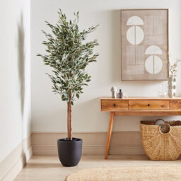 Wyld And Coco 167Cm Artificial Ficus Tree Green And Black With Cement Base - Indoor Decorative Plant - thumbnail 2