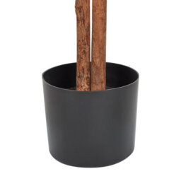 Wyld And Coco 167Cm Artificial Ficus Tree Green And Black With Cement Base - Indoor Decorative Plant - thumbnail 5