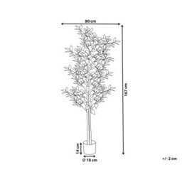 Wyld And Coco 167Cm Artificial Ficus Tree Green And Black With Cement Base - Indoor Decorative Plant - thumbnail 4