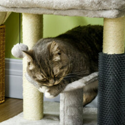 Pawhut Small Cat Tree With Scratching Post Bed Toy For Indoor Cats, Grey - thumbnail 9