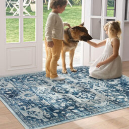 Ameha Non Slip Cashmere Door Rug Floor Mats , Stylish, And Pet-Friendly Indoor/outdoor Mat (Tranquil, 60X110 Cm) - thumbnail 7