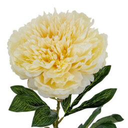 Hill Interiors Large Buttermilk Double Peony Stem Artificial Flower - Plastic - L19 X W19 X H95 Cm - Cream - thumbnail 3