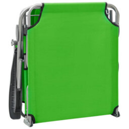 Berkfield Sun Lounger With Canopy Steel Green - thumbnail 5