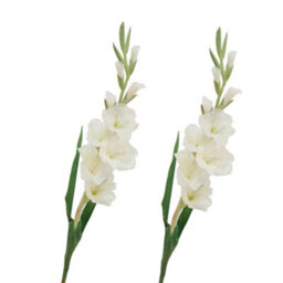 2 Pack Artificial Long - Stemmed Gladiolus Flowers For Home And Wedding And Office Decoration (White) - thumbnail 1