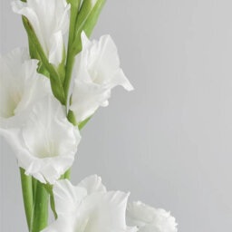 2 Pack Artificial Long - Stemmed Gladiolus Flowers For Home And Wedding And Office Decoration (White) - thumbnail 2