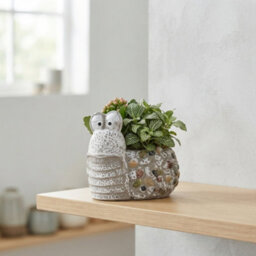 Ceramic Animal Arrangement - 16Cm Pot - thumbnail 6