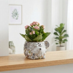 Ceramic Animal Arrangement - 16Cm Pot - thumbnail 3