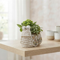 Ceramic Animal Arrangement - 16Cm Pot - thumbnail 4