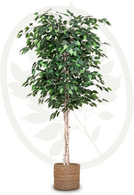 Maia Shop Artificial Ficus Tree 180 Cm For Home And Office Decoration - image 1