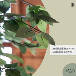Maia Shop Artificial Ficus Tree 180 Cm For Home And Office Decoration - thumbnail 4