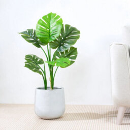 Artificial Monstera Tree W/plastic Planter And Artificial Moss For House Office 80 Cm - thumbnail 3