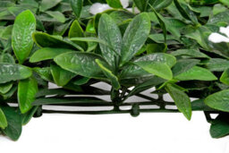 GreenBrokers Artificial Green Wall Hedge With Dark Leaf Foliage And White Flowers (Pack Of 4) -Uv Stable Vertical Garden - thumbnail 5