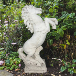 Stunning Medium Rearing Horse Statue